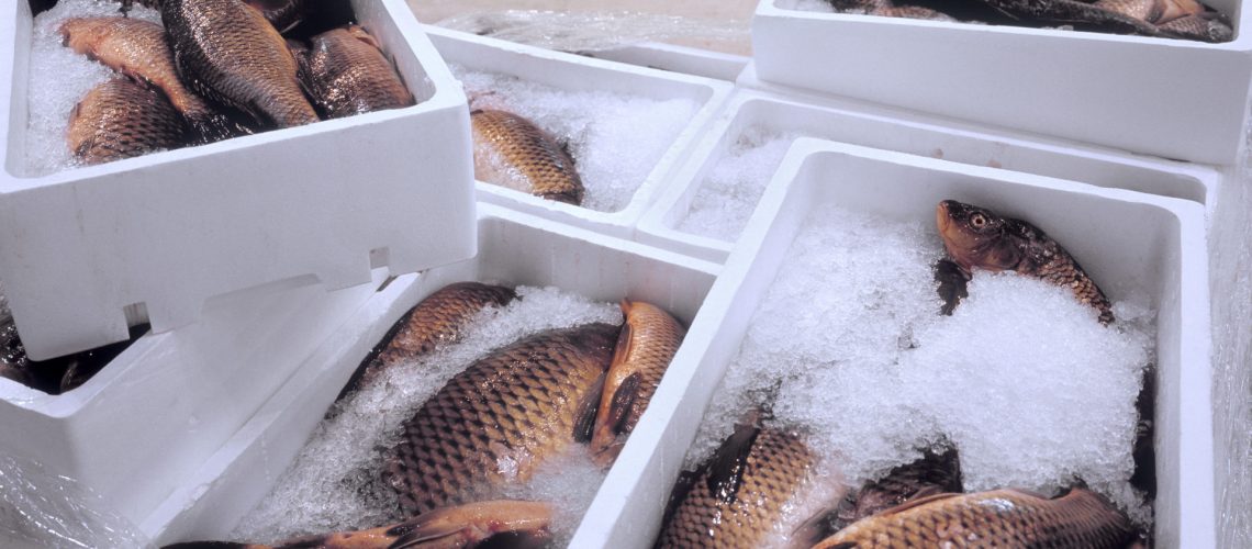 Pallet with fresh fish at a wholesale market.